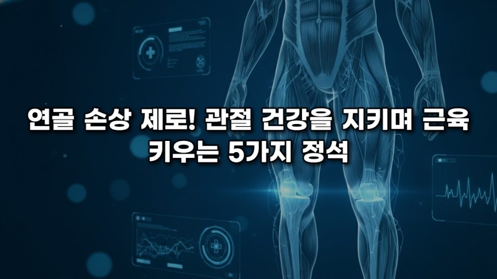 연골 손상 제로! 관절 건강을 지키며 근육 키우는 5가지 정석