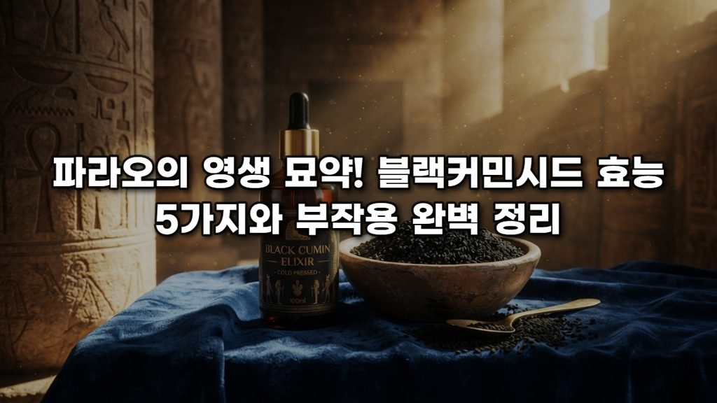 파라오의 영생 묘약! 블랙커민시드 효능 5가지와 부작용 완벽 정리