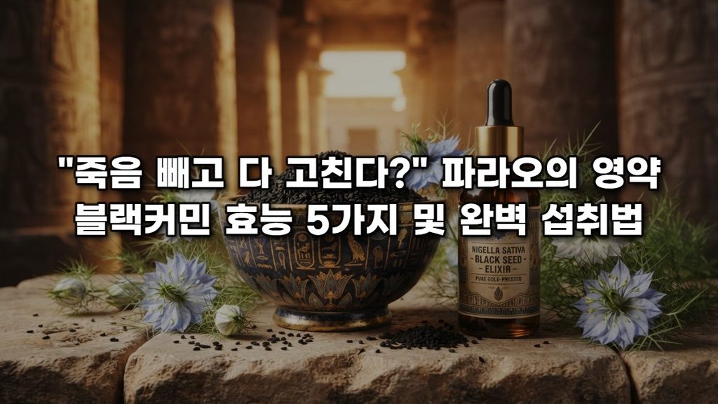 “죽음 빼고 다 고친다?” 파라오의 영약 블랙커민 효능 5가지 및 완벽 섭취법