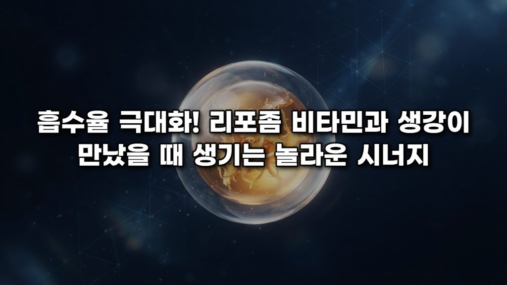 흡수율의 신기원: 리포좀 비타민과 생강이 만났을 때 일어나는 기적의 생체 이용률 혁명